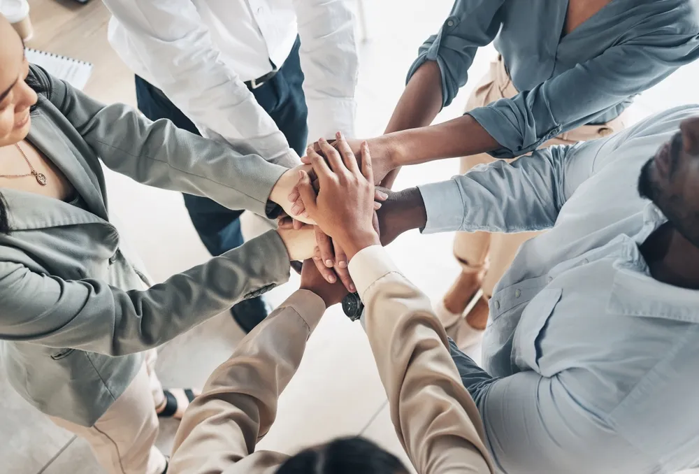 صناعا البرمجيات الخارجية